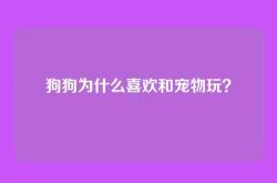 狗狗为什么喜欢和宠物玩？