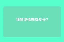 狗狗发情期有多长？