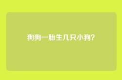狗狗一胎生几只小狗？