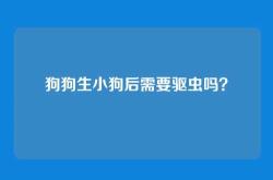 狗狗生小狗后需要驱虫吗？