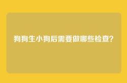 狗狗生小狗后需要做哪些检查？