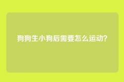 狗狗生小狗后需要怎么运动？