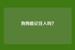 狗狗能记住人吗？