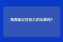 狗狗能记住自己的玩具吗？