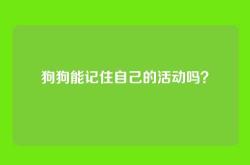 狗狗能记住自己的活动吗？