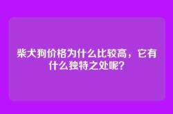 柴犬狗价格为什么比较高，它有什么独特之处呢？
