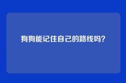 狗狗能记住自己的路线吗？