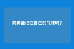狗狗能记住自己的气味吗？