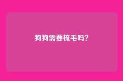 狗狗需要梳毛吗？