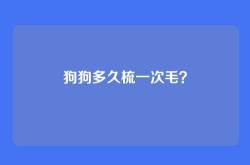 狗狗多久梳一次毛？