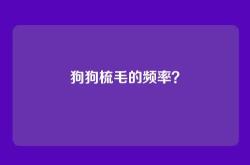 狗狗梳毛的频率？