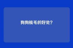 狗狗梳毛的好处？