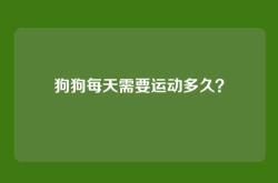 狗狗每天需要运动多久？