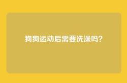 狗狗运动后需要洗澡吗？