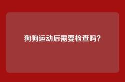 狗狗运动后需要检查吗？