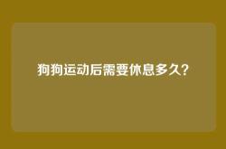 狗狗运动后需要休息多久？