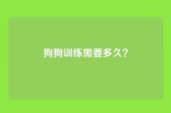 狗狗训练需要多久？