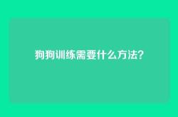 狗狗训练需要什么方法？