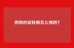 狗狗的皮肤病怎么预防？