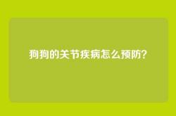 狗狗的关节疾病怎么预防？