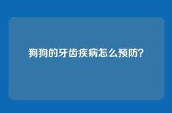 狗狗的牙齿疾病怎么预防？