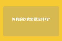 狗狗的饮食需要定时吗？