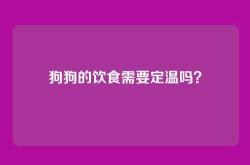 狗狗的饮食需要定温吗？
