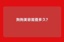 狗狗美容需要多久？