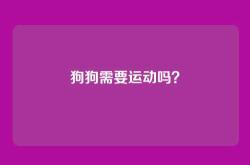 狗狗需要运动吗？