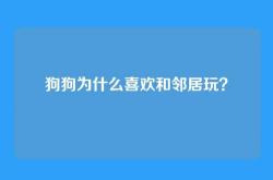 狗狗为什么喜欢和邻居玩？