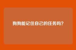 狗狗能记住自己的任务吗？
