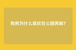 狗狗为什么喜欢在公园奔跑？