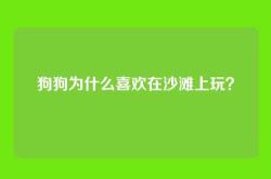 狗狗为什么喜欢在沙滩上玩？