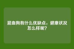 混血狗有什么优缺点，健康状况怎么样呢？