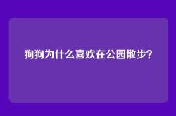 狗狗为什么喜欢在公园散步？