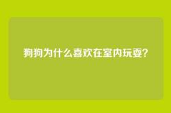 狗狗为什么喜欢在室内玩耍？