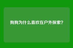 狗狗为什么喜欢在户外探索？