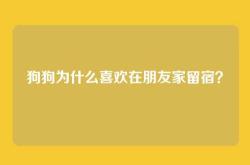 狗狗为什么喜欢在朋友家留宿？