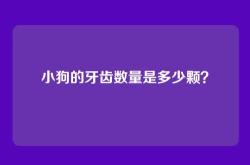 小狗的牙齿数量是多少颗？