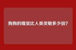 狗狗的嗅觉比人类灵敏多少倍？