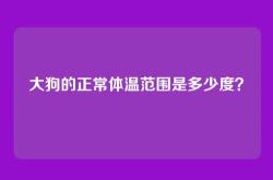 大狗的正常体温范围是多少度？
