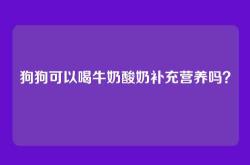 狗狗可以喝牛奶酸奶补充营养吗？