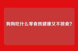狗狗吃什么零食既健康又不挑食？