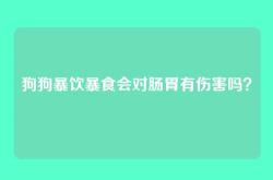 狗狗暴饮暴食会对肠胃有伤害吗？