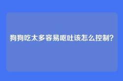 狗狗吃太多容易呕吐该怎么控制？