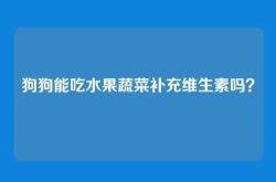 狗狗能吃水果蔬菜补充维生素吗？