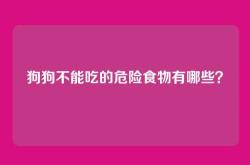 狗狗不能吃的危险食物有哪些？