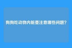 狗狗吃动物内脏要注意哪些问题？