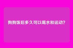 狗狗饭后多久可以喝水和运动？