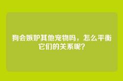 狗会嫉妒其他宠物吗，怎么平衡它们的关系呢？